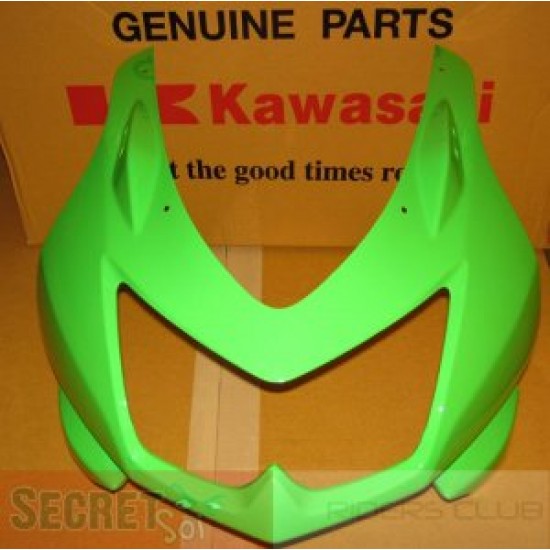 kawasaki ninja 250 kafa grenajı ninja 250 kafa grenajı sıfır orıjinal kawasaki ninja 250 kafa grenajı ninja 250 kafa grenajı sıfır orıjinal