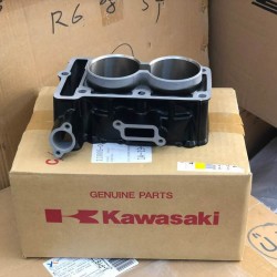 kawasaki ninja 300 silindir kawasaki z 300 silindir kawasaki versys 300 silindir