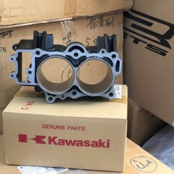 kawasaki ninja 300 silindir kawasaki z 300 silindir kawasaki versys 300 silindir