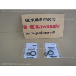 kawasaki versys 650 er6 ninja 650 z 650 vulcan s buji yağ oringi