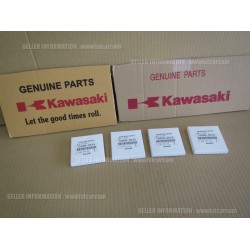 16-23 Kawasaki zx10 segman zx10-r segman orijinal