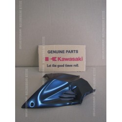 kawasaki ninja h2 depo grenajı sağ ninja h2 sağ depo grenajı 