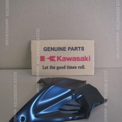 kawasaki ninja h2 depo grenajı sağ ninja h2 sağ depo grenajı 