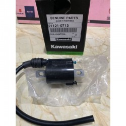 Kawasaki Ninja 250 sl z 250 sl Dış Bobin