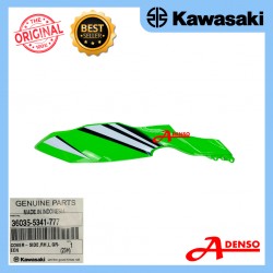 Kawasaki Ninja 250 SL Sağ Depo Grenajı WSB Model