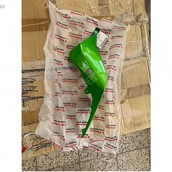 Kawasaki Z 250 SL Sol Kuyruk Grenajı Yeşil