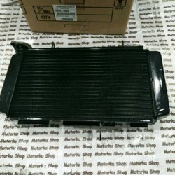 kawasaki z 250 sl radyatör ninja 250 sl radyatör sıfır orıjınal kawasaki z 250 sl radyatör ninja 250 sl radyatör sıfır orıjınal