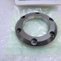 Kawasaki Ninja 250 SL Z250 SL KLX 250 Marj Ruble Çanağı