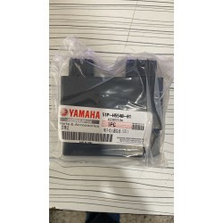 10-17 yamaha ybr 125 beyin ybr esd beyin