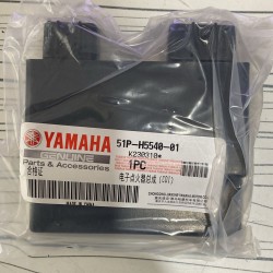 10-17 yamaha ybr 125 beyin ybr esd beyin