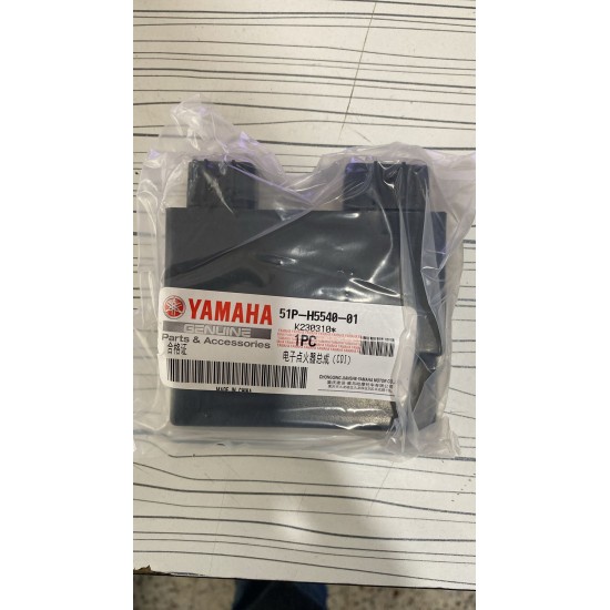 10-17 yamaha ybr 125 beyin ybr esd beyin