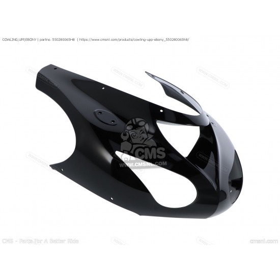 06-07 kawasaki zx10 kafa grenajı zx-10r kafa grenajı siyah orijinal