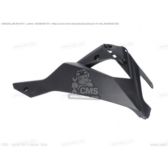 kawasaki z 300 sağ alt sakal z300 sağ alt sakal siyah renk