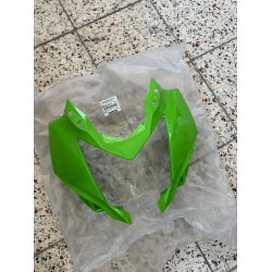 kawasaki ninja 250 sl kafa grenajı ninja250sl kafa grenajı yeşil renk