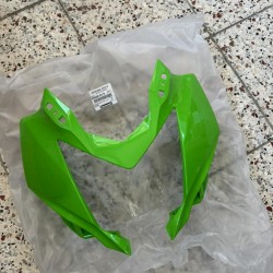 kawasaki ninja 250 sl kafa grenajı ninja250sl kafa grenajı yeşil renk