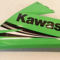 Kawasaki Ninja 300 Sağ Alt Sakal