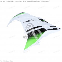 Kawasaki ninja 300 sol grenaj ninja 300 sol granaj 