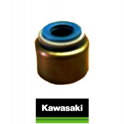 kawasaki kle 500 subap keçesi en 500 subap keçesi er6 subap keçesi gpz 500 subap ekeçsi