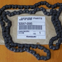 kawasaki ninja 300 eksantrik zinciri z 300 eksantrik zinciri versys 300