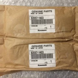 kawasaki vn 800 eksantrik zinciri kawasaki vn 900 eksantrik zinciri orıjınal