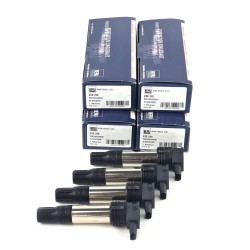 ZSE229 12-18 Bmw gs 1200 ateşleme bobini r 1200 ateşleme bobini borgwarner marka ZSE229 12-18 Bmw gs 1200 ateşleme bobini r 1200 ateşleme bobini borgwarner marka