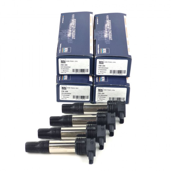ZSE229 12-18 Bmw gs 1200 ateşleme bobini r 1200 ateşleme bobini borgwarner marka