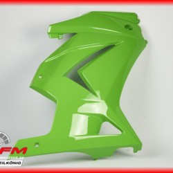 kawasaki ninja 250 sağ grenaj sıfır orıjınal yeşil renk 