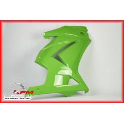 kawasaki ninja 250 sağ grenaj sıfır orıjınal yeşil renk  kawasaki ninja 250 sağ grenaj sıfır orıjınal yeşil renk