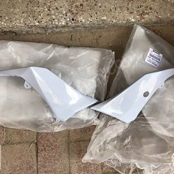 kawasaki ninja 250 sl kuyruk grenajı sağ sol beyaz renk orıjınal